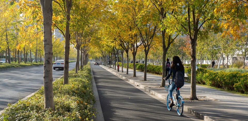 2021 asla urban design award of honor xuhui runway park sasaki