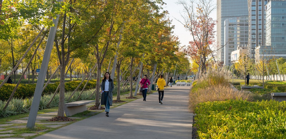 2021 asla urban design award of honor xuhui runway park sasaki