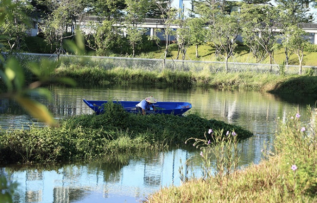 Baoan Dinggang Lake Wetland Park by POWERCHINA HUADONG ENGINEERING CORPORATION LIMITED