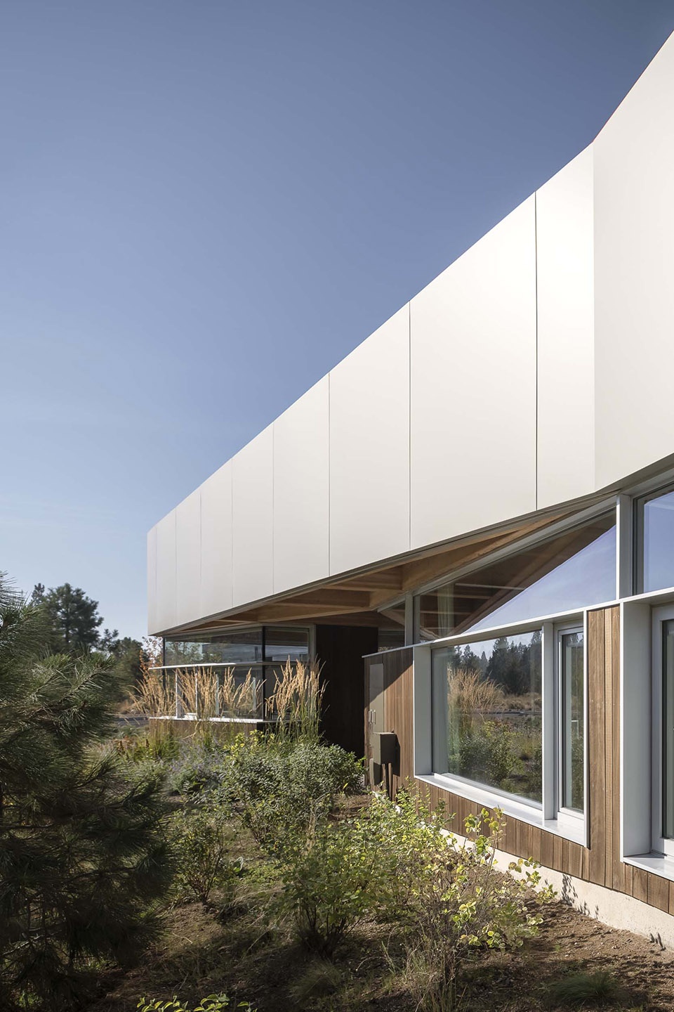 M1 House by Malaspina Design