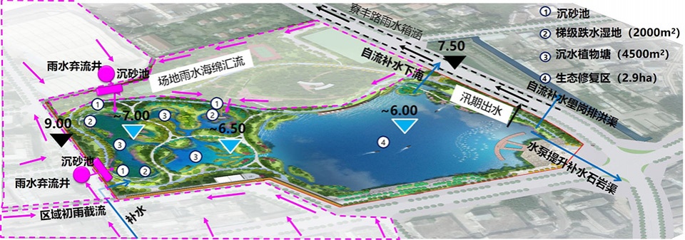 baoan dinggang lake wetland park by powerchina huadong engineering corporation