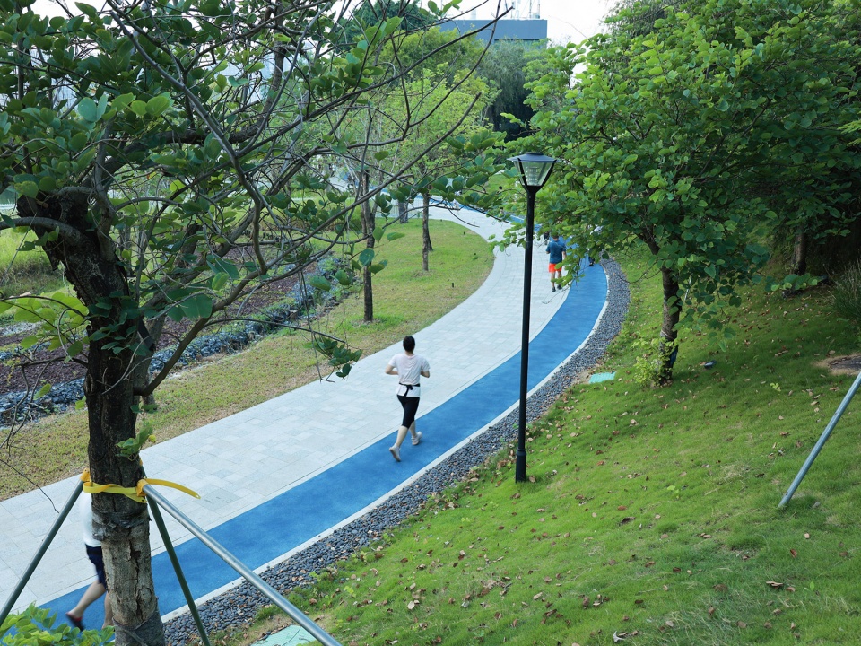 baoan dinggang lake wetland park by powerchina huadong engineering corporation