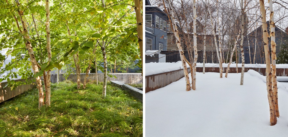 2021 asla residential design award of honor quarry garden ten x ten
