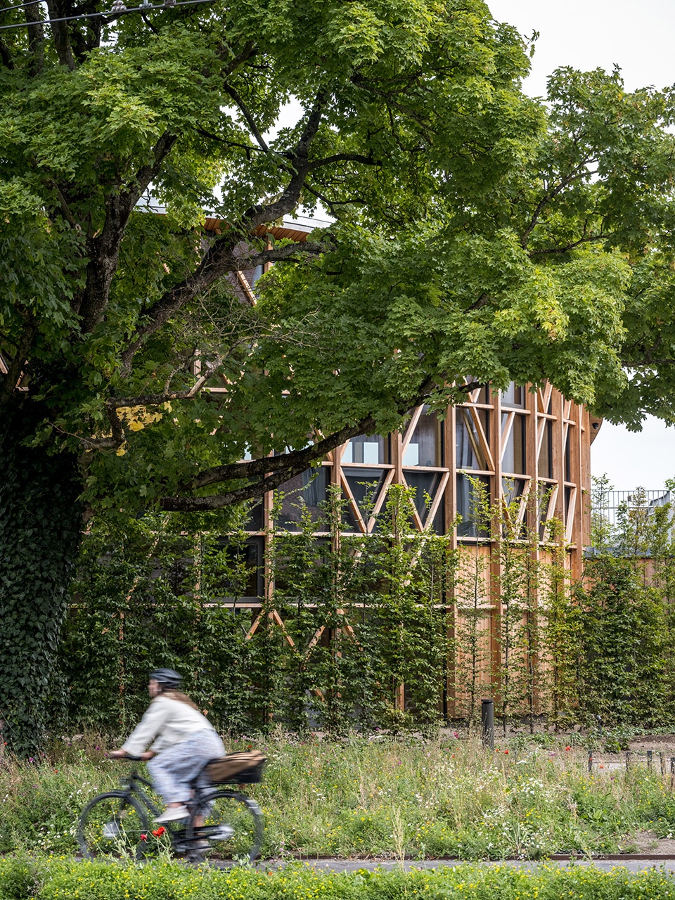 H C Andersen museum by Kengo Kuma and Associates MASU Planning