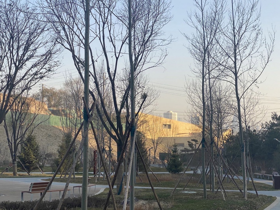 Xining Mass Cultural Art Activity Exchange Centre China by Xi an University of Architecture and Technology Architectural design and Resea...