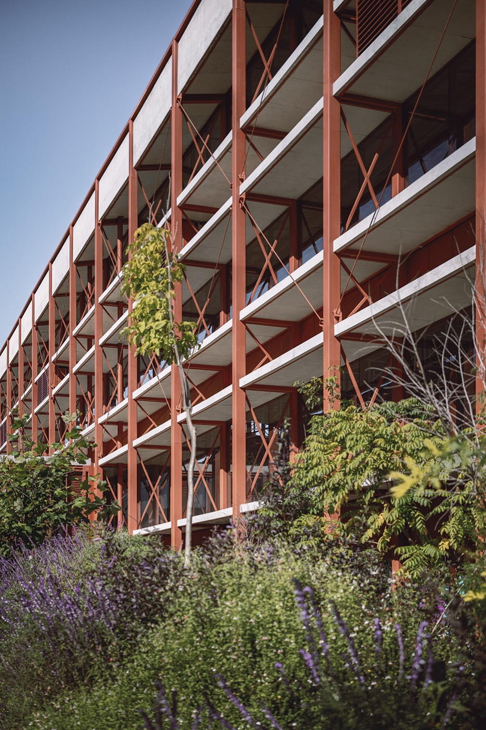 campus cbg by estudio mmx luis campos