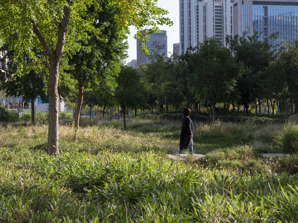 jinan ribbon park by som