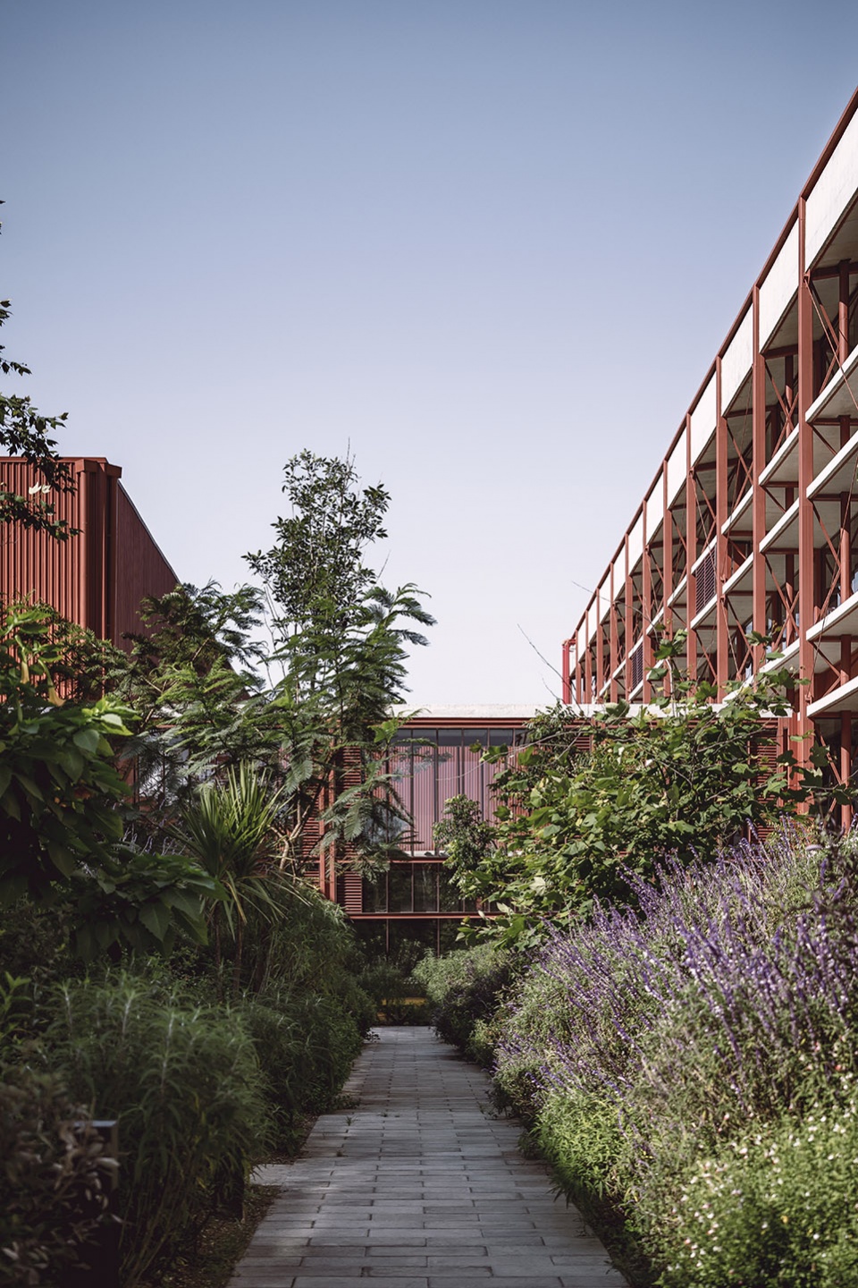 campus cbg by estudio mmx luis campos