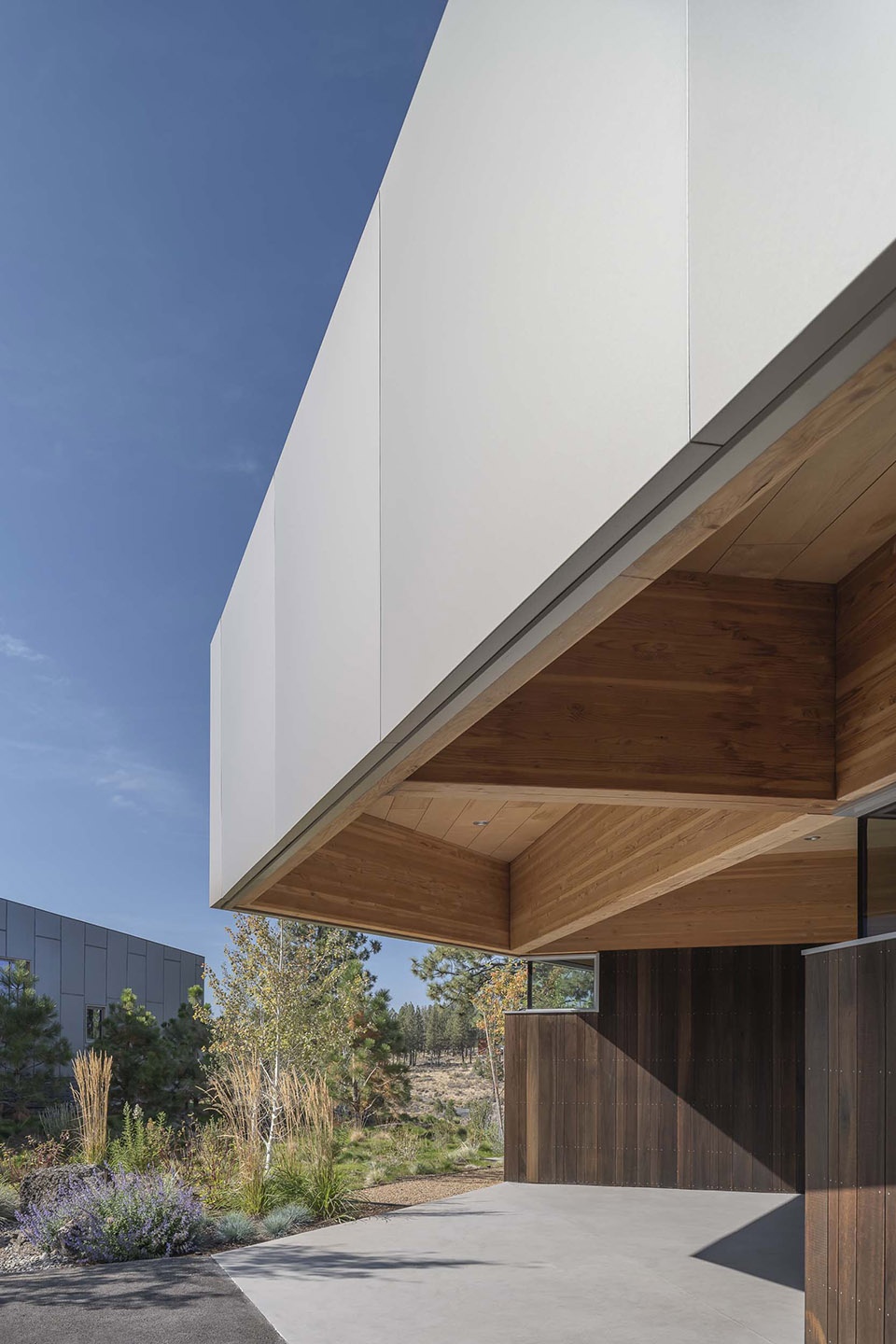 M1 House by Malaspina Design