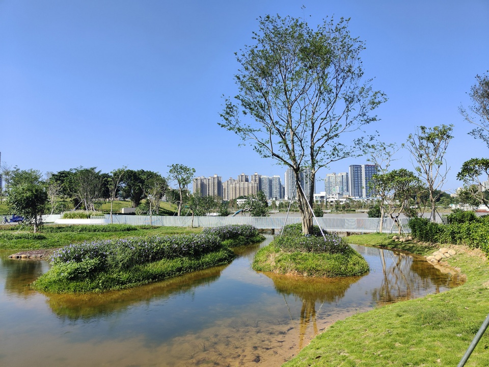 baoan dinggang lake wetland park by powerchina huadong engineering corporation