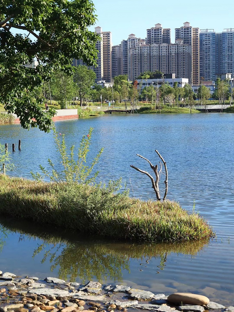 baoan dinggang lake wetland park by powerchina huadong engineering corporation