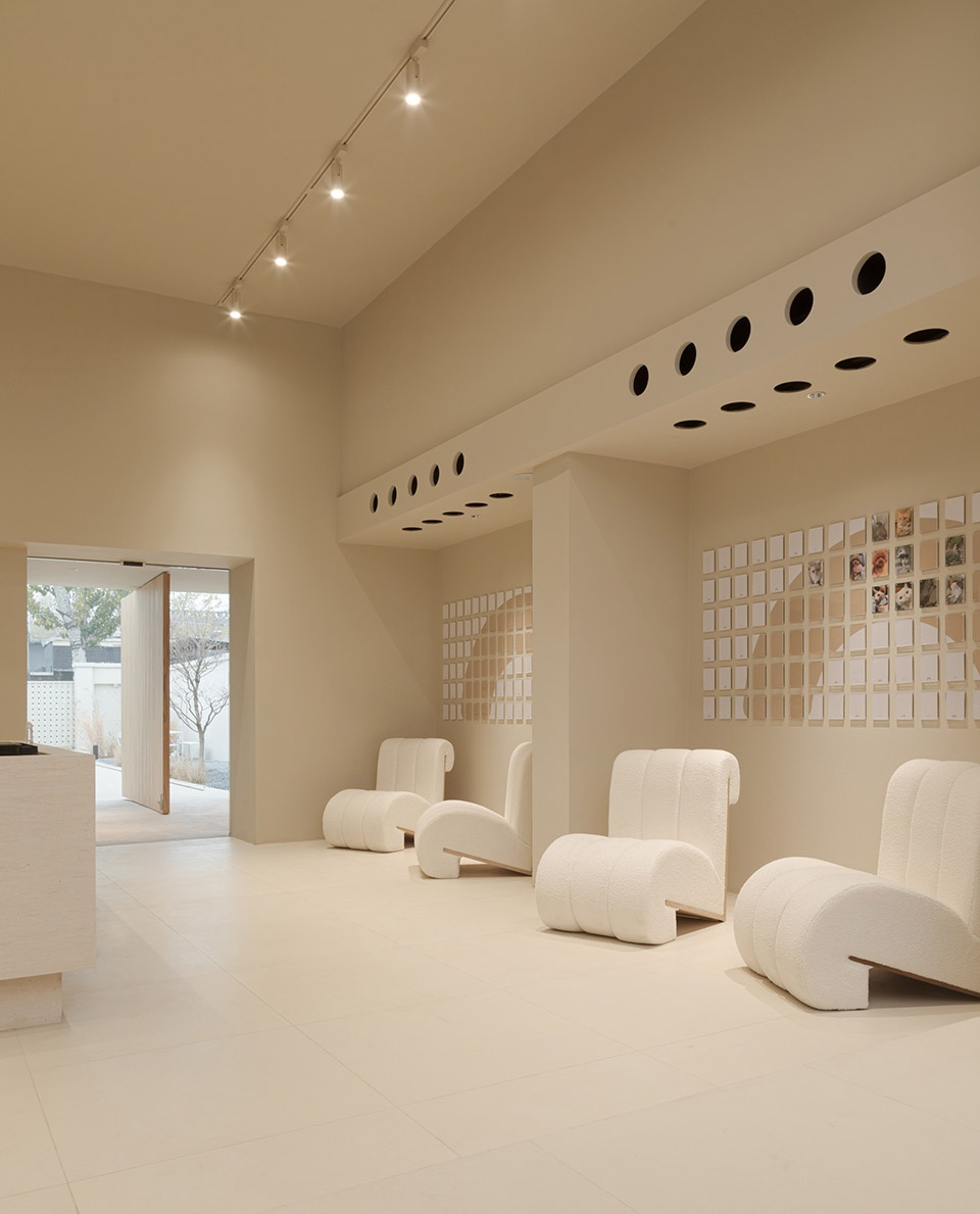 rainbow planet pet farewell hall by nothing design