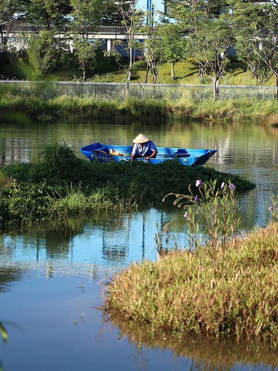 baoan dinggang lake wetland park by powerchina huadong engineering corporation