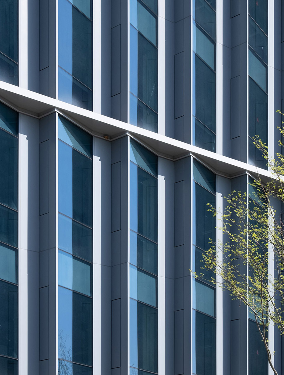 The Hikvision Chengdu Technology Park China by ECADI saw