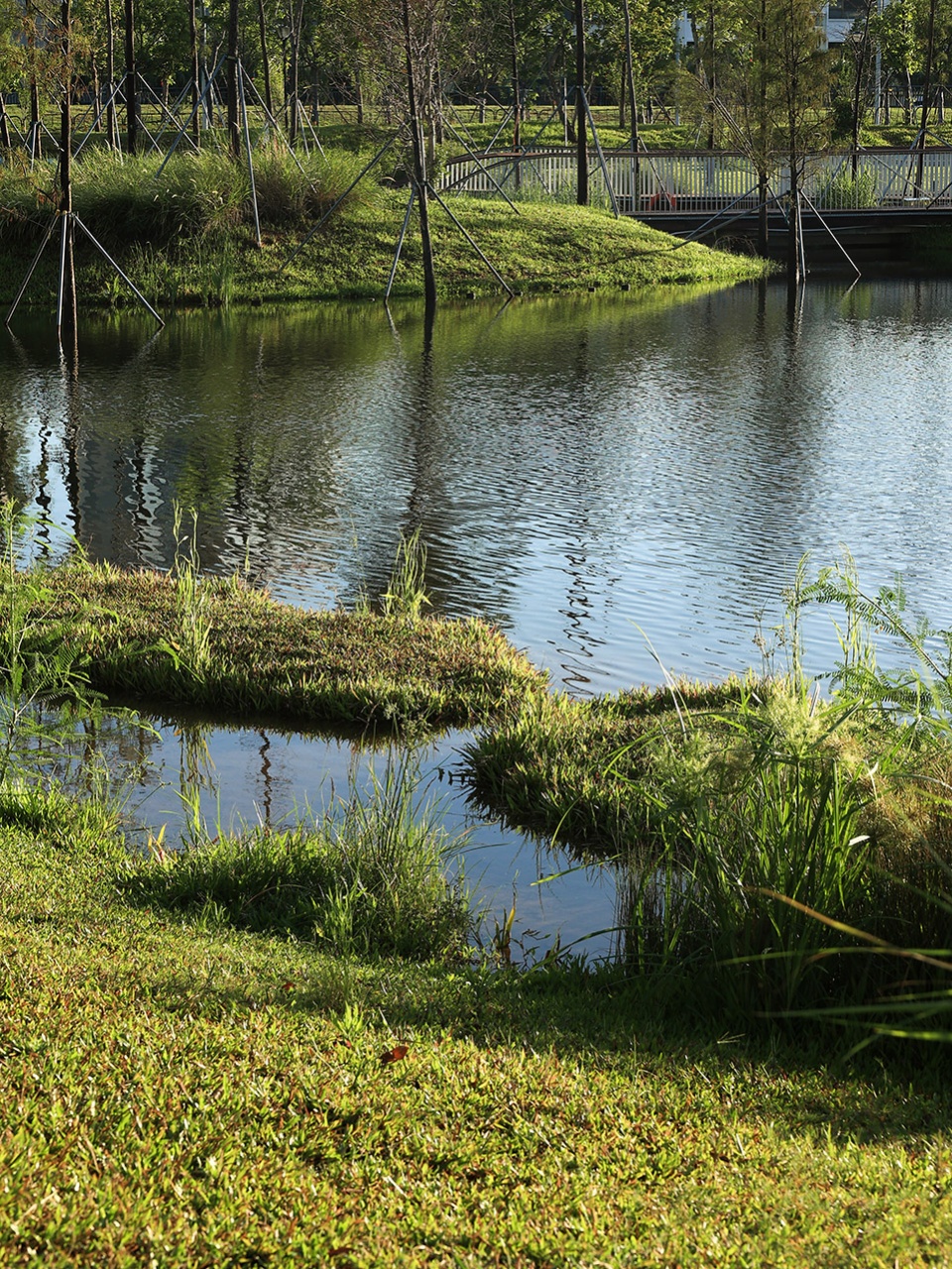 baoan dinggang lake wetland park by powerchina huadong engineering corporation