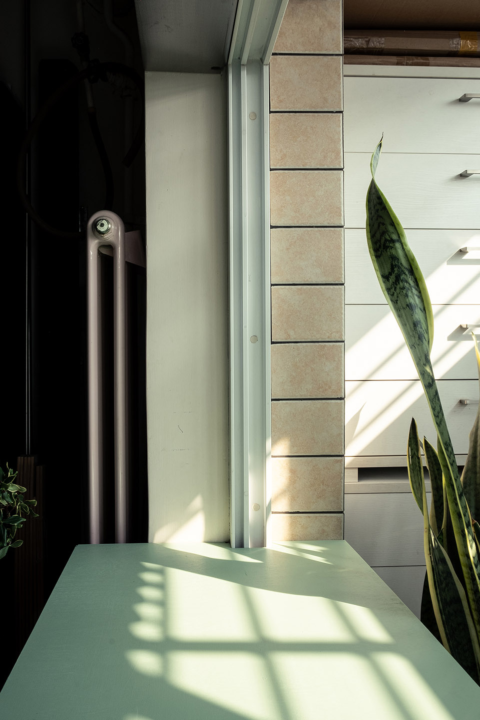 Gallery image with a fresh perspective