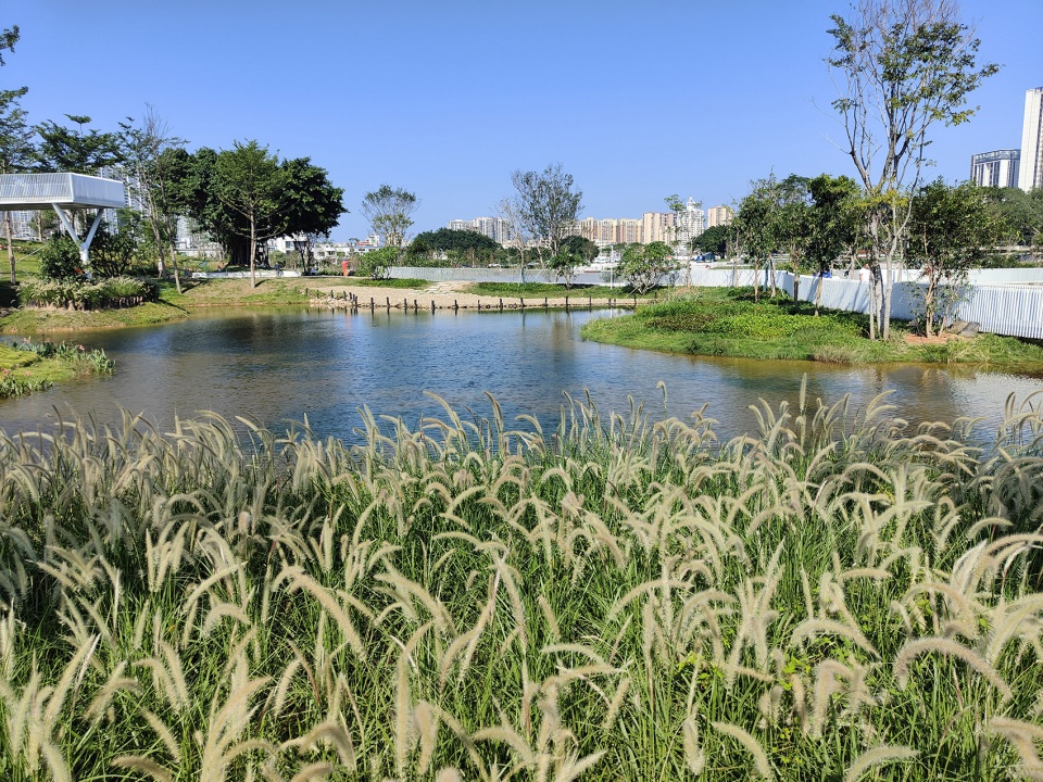 baoan dinggang lake wetland park by powerchina huadong engineering corporation