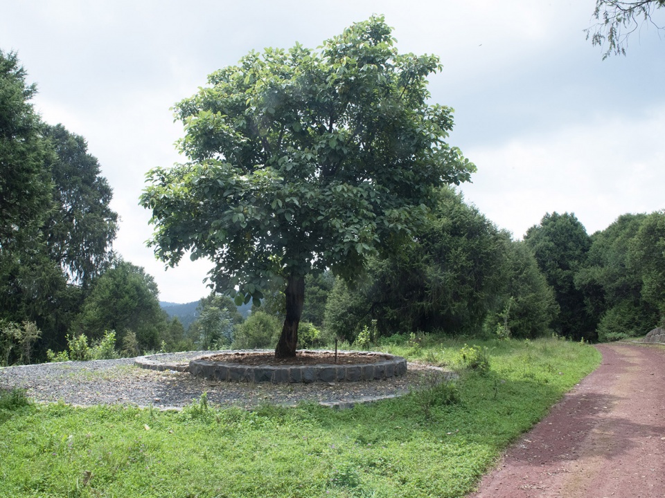The Meles Zenawi Memorial Park by Studio Other Spaces