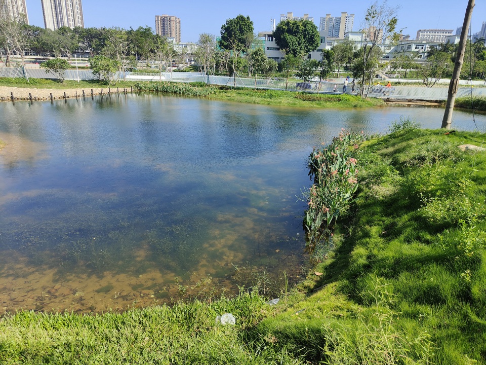 baoan dinggang lake wetland park by powerchina huadong engineering corporation
