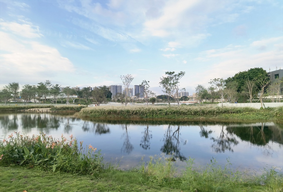 baoan dinggang lake wetland park by powerchina huadong engineering corporation