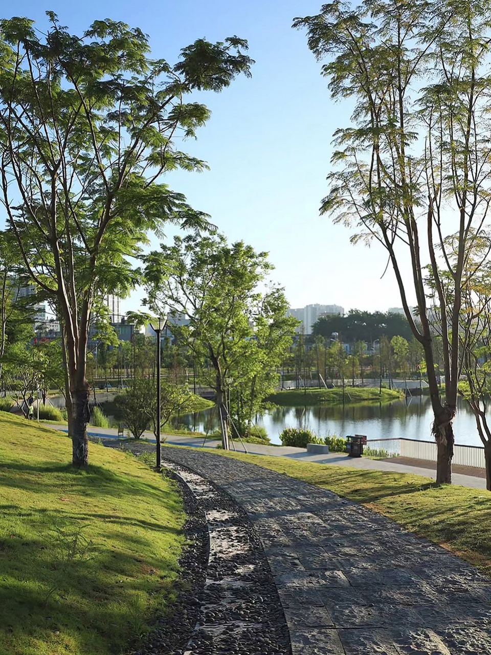 baoan dinggang lake wetland park by powerchina huadong engineering corporation