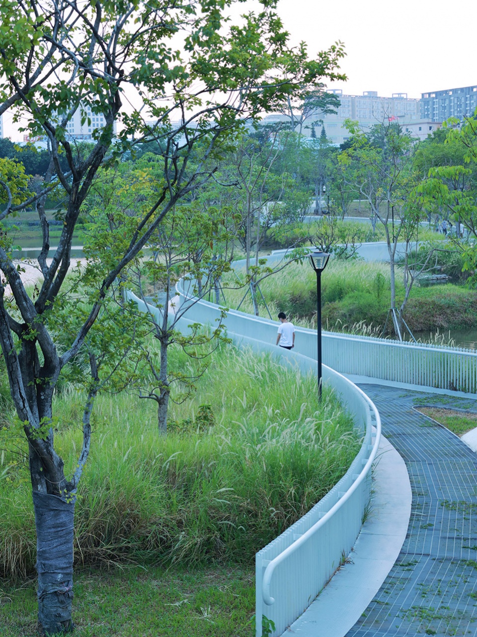 baoan dinggang lake wetland park by powerchina huadong engineering corporation