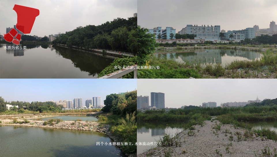 baoan dinggang lake wetland park by powerchina huadong engineering corporation