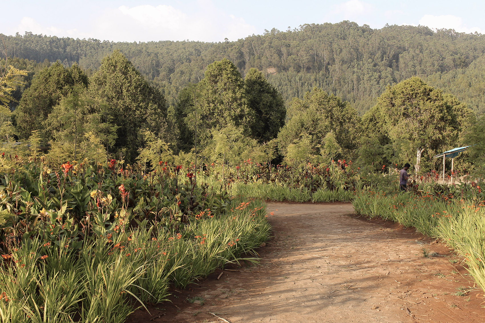 The Meles Zenawi Memorial Park by Studio Other Spaces 谷德设计网