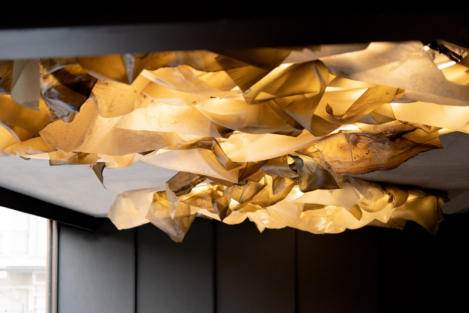 Noma Kyoto OEO Studio
