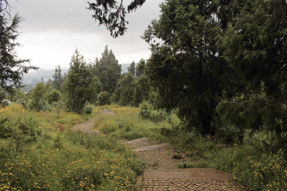 The Meles Zenawi Memorial Park by Studio Other Spaces