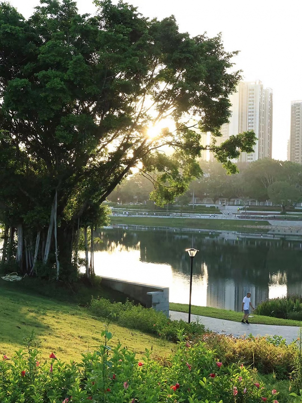 baoan dinggang lake wetland park by powerchina huadong engineering corporation