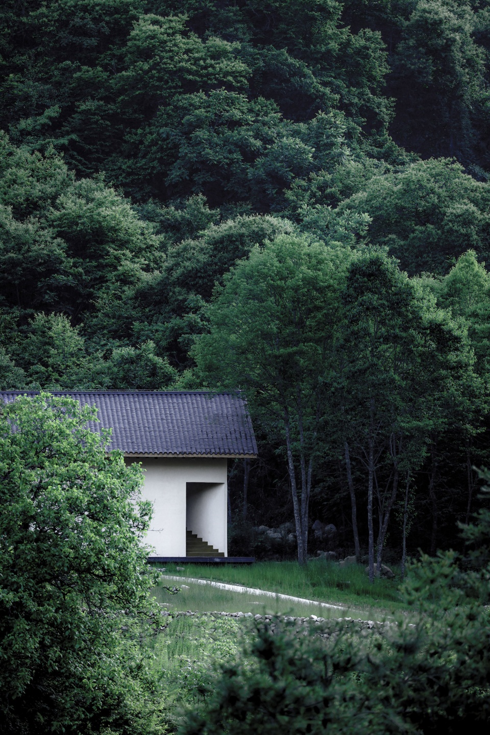 qinlin suji lone m hidden bookstore lone m cafe by studio qi architects