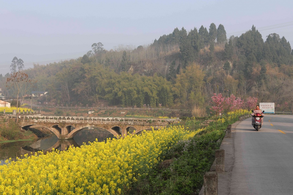 donglin town cultural center in leshan city by studio dali architects