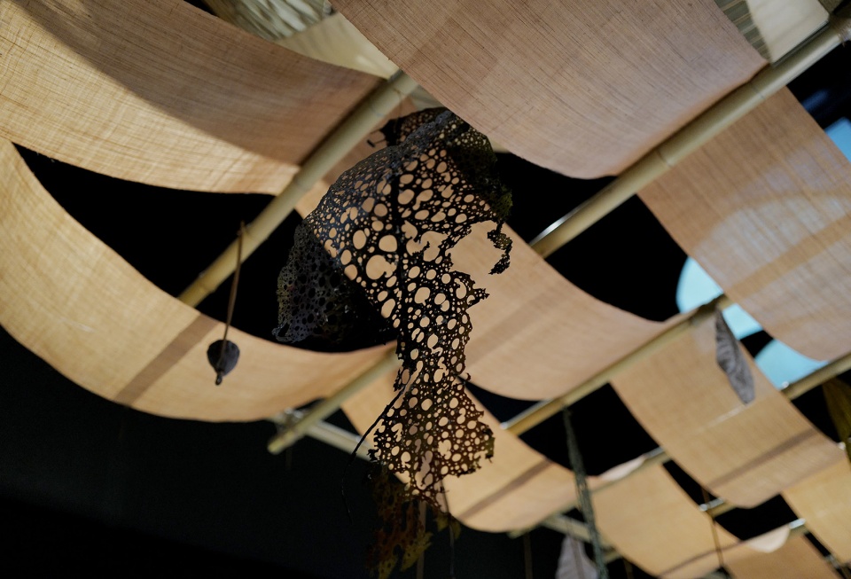 Noma Kyoto OEO Studio
