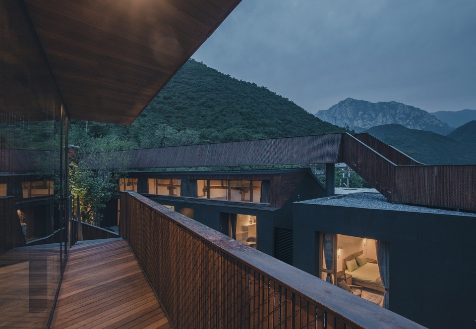 chaos is a ladder by dl atelier