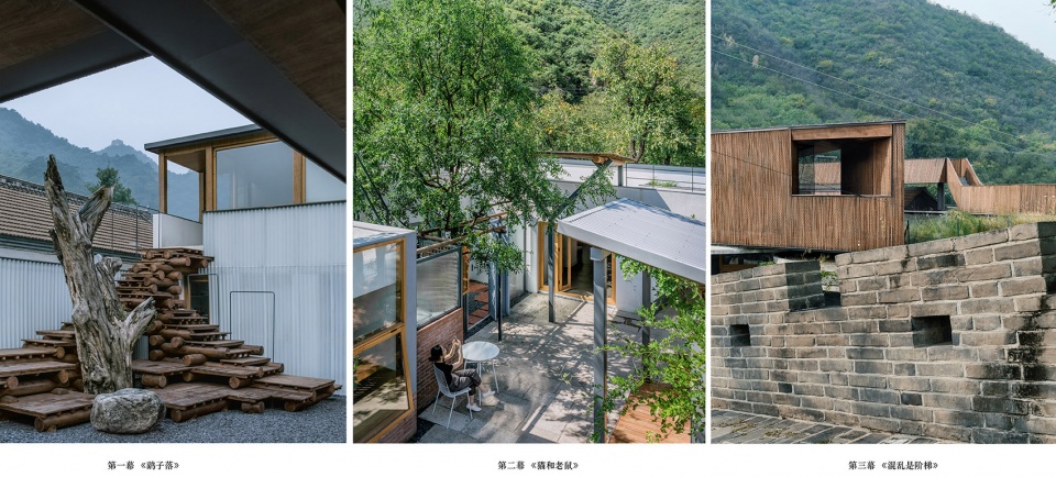 chaos is a ladder by dl atelier