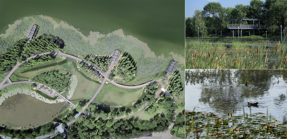 2021 asla general design award of honor suining south riverfront park by ecoland sadi