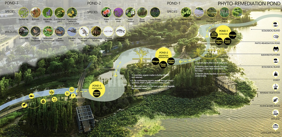 2021 asla general design award of honor suining south riverfront park by ecoland sadi
