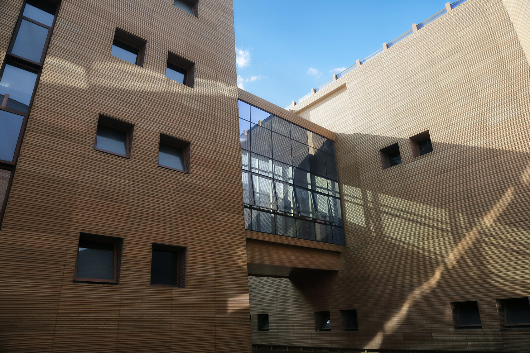 Tongguan Kiln Site Museum by CMIE LUO JIN STUDIO 谷德设计网