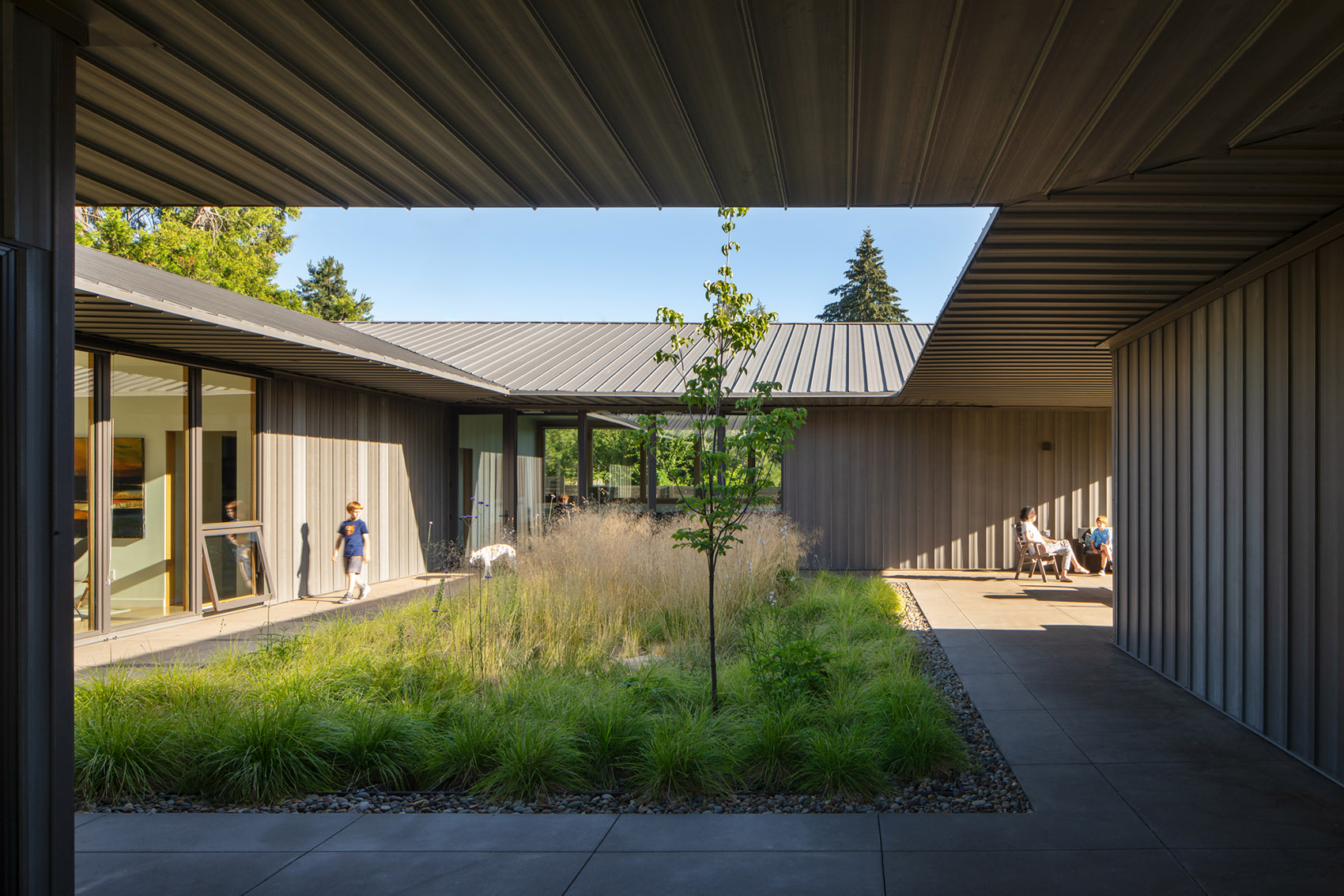 Meadow House by Waechter Architecture - 谷德设计网