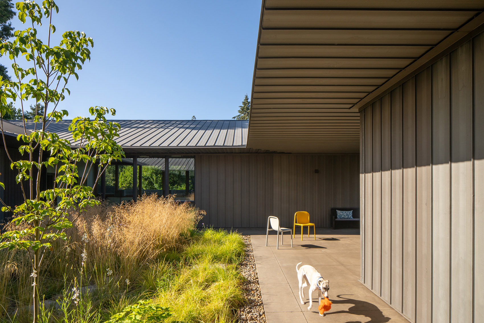 Meadow House by Waechter Architecture - 谷德设计网