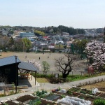 南本宿第三公园，日本 / 株式会社户田芳树风景计画
