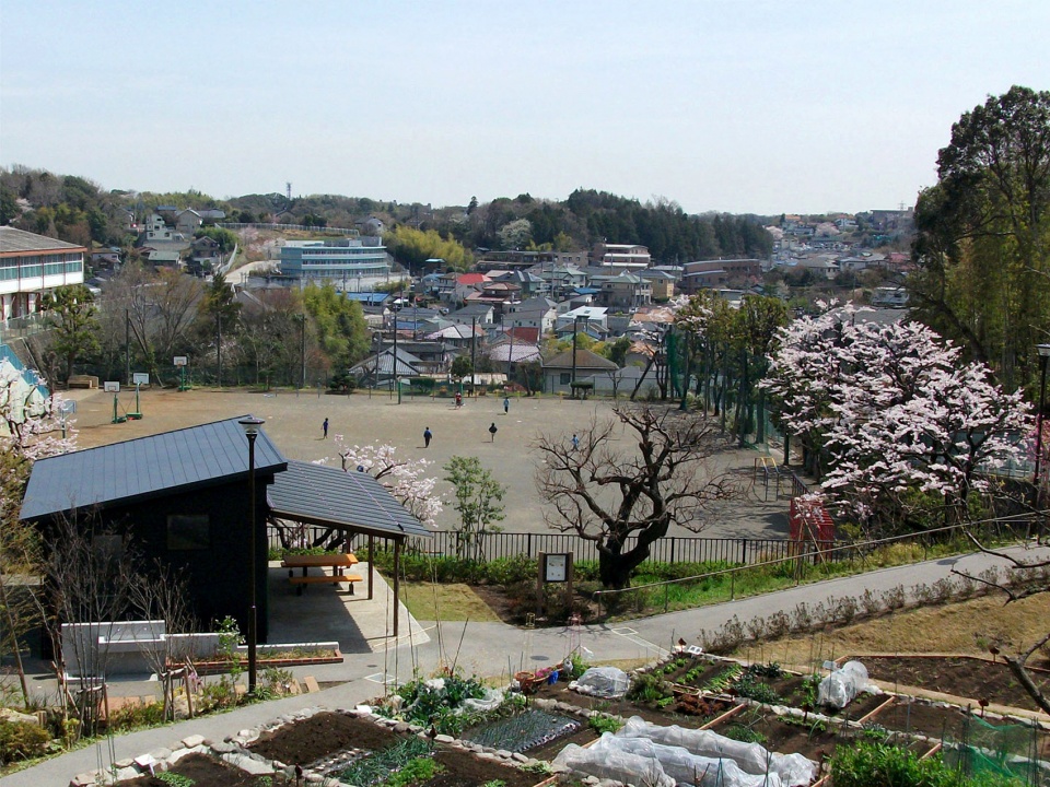 从农园上方的观景台俯瞰农园和小学