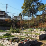 南本宿第三公园，日本 / 株式会社户田芳树风景计画