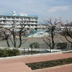 南本宿第三公园，日本 / 株式会社户田芳树风景计画