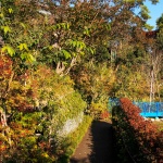 南本宿第三公园，日本 / 株式会社户田芳树风景计画