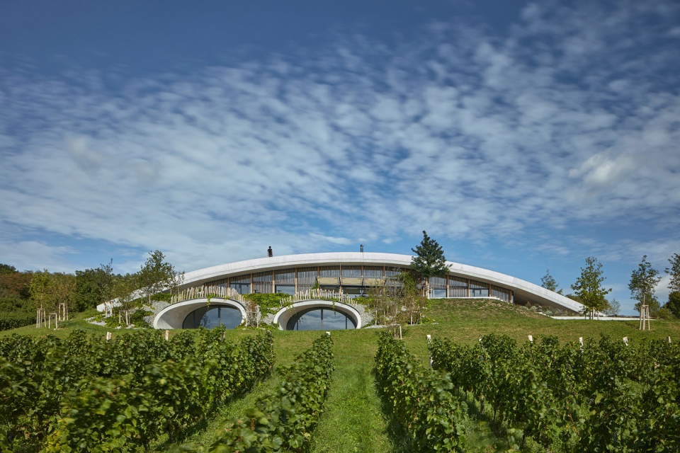 Gurdau Winery by Ales Fiala