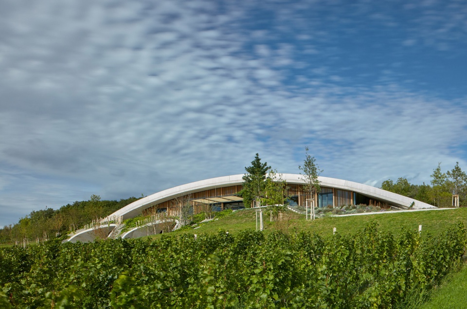 Gurdau Winery by Ales Fiala