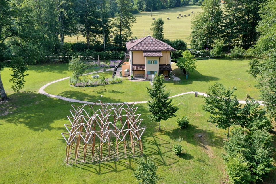 rebirth of the dancing forest by rocco design architects