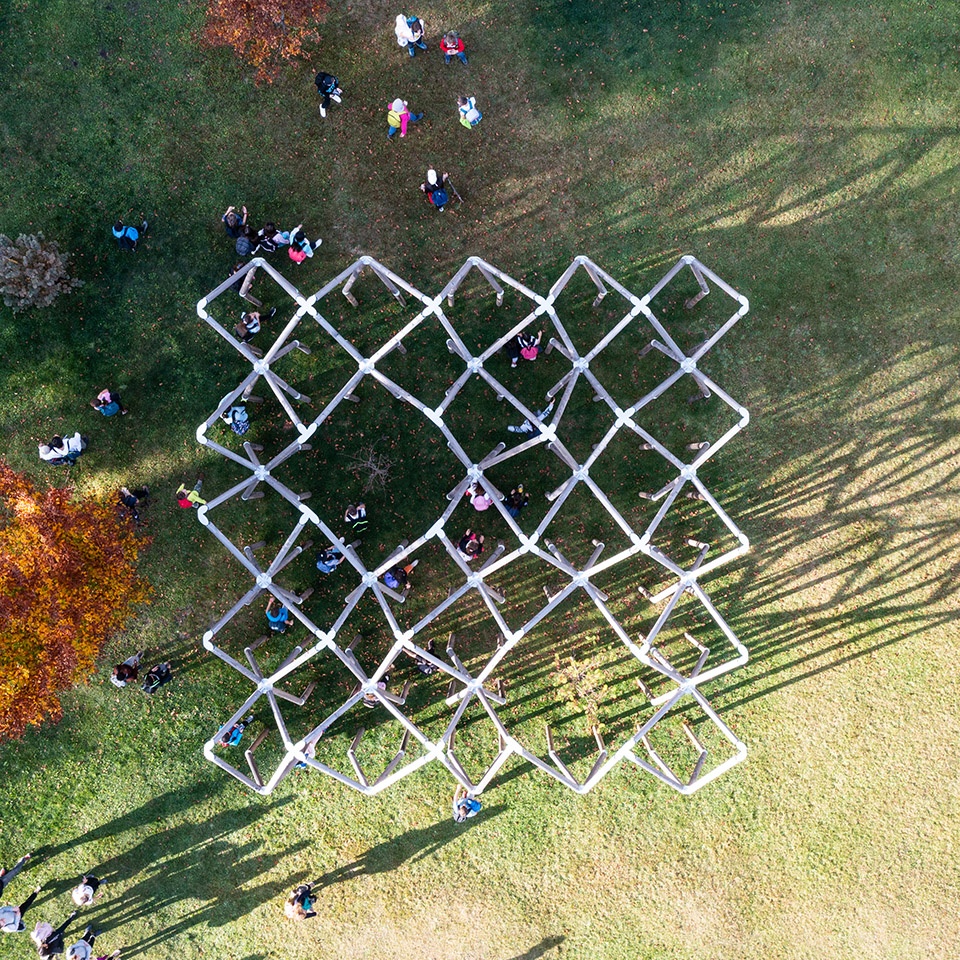 rebirth of the dancing forest by rocco design architects